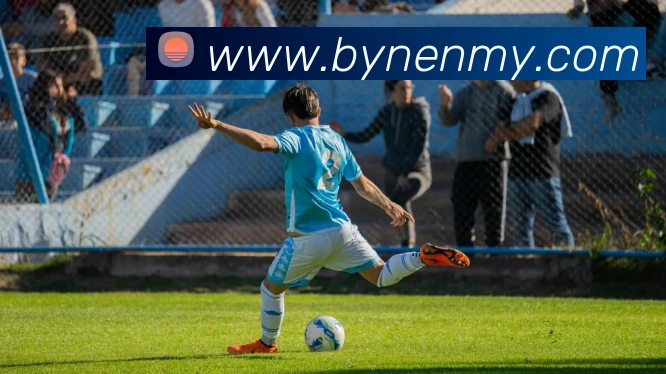 开云体育平台生态图